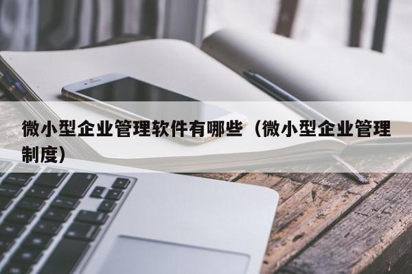 小型企业主的选择：传统ERP还是云ERP更适合？