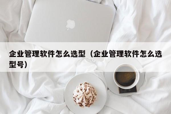 ERP创业版攻略：如何制定有效的销售策略，实现快速增长？