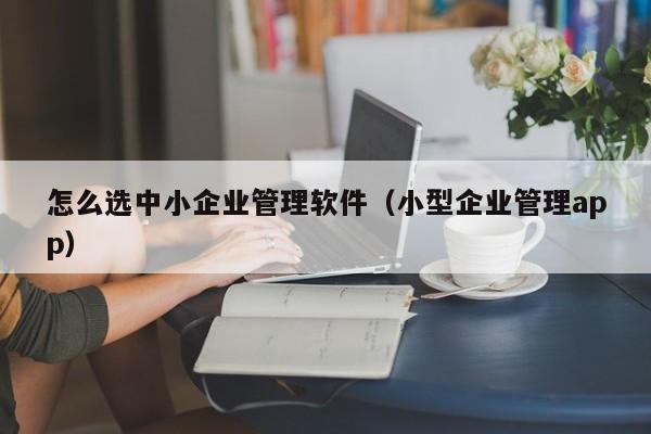 如何更好地了解和适应企业实战ERP岗位职业的工作环境？