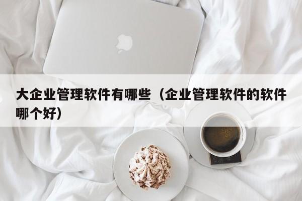 高露洁ERP系统：智能化管理，提升企业竞争力