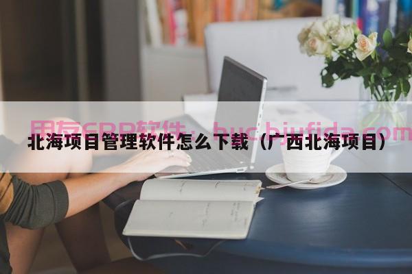 日化公司erp系统 售后服务模块用户投诉处理