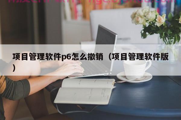 ERP研发成本归集分析 成功案例分析