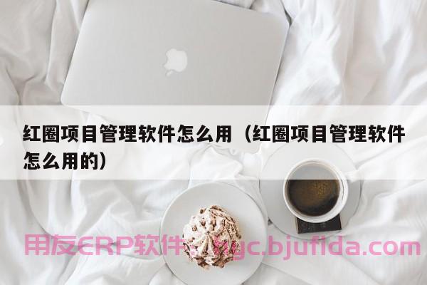 海南房地产erp系统大揭秘：如何帮助企业实现数字化转型