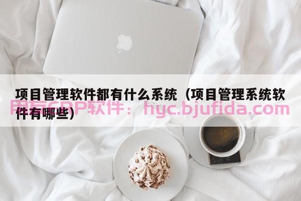 COO实训年度总结：ERP系统实操技能提升分享