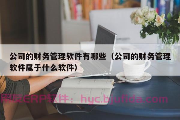 磐安ERP产品清单 - 直观界面设计，让您轻松上手