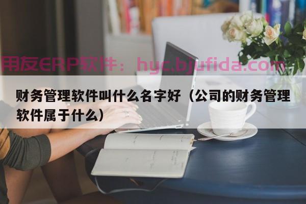 大升ERP虚假交易案例 分析及处罚措施 最新