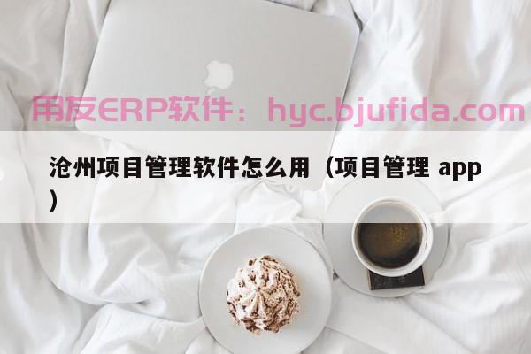 ERP Baicgroup：全球先进的信息化管理引领者