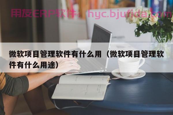 erp生产单输入产品的解决方案