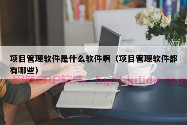 ERP关系营销策略优化，提升企业业绩