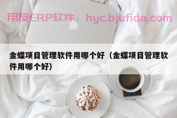 ERP模拟职位介绍，教你如何快速入门ERP系统操作