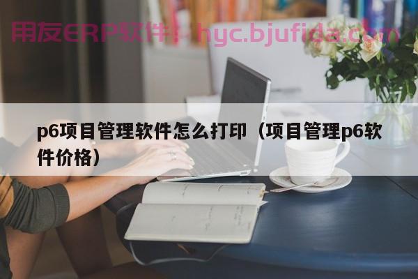 ERP项目管理中的注意事项和技巧