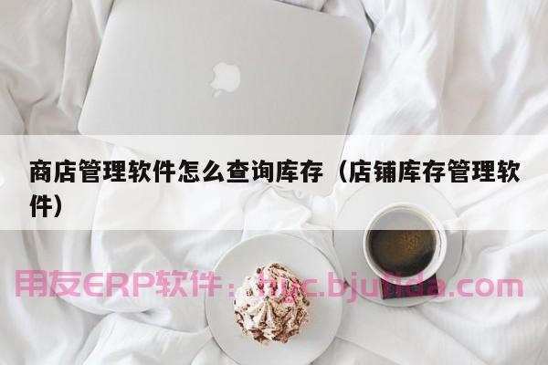 ERP建设成功案例 项目流程管理技巧