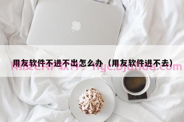 系统分析：探索PPV在ERP中的应用及其效果