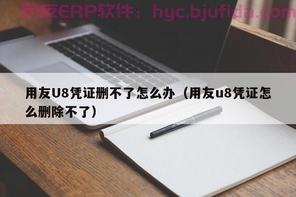 北京ERP商贸软件 项目管理 合理分配资源，完美执行各项任务