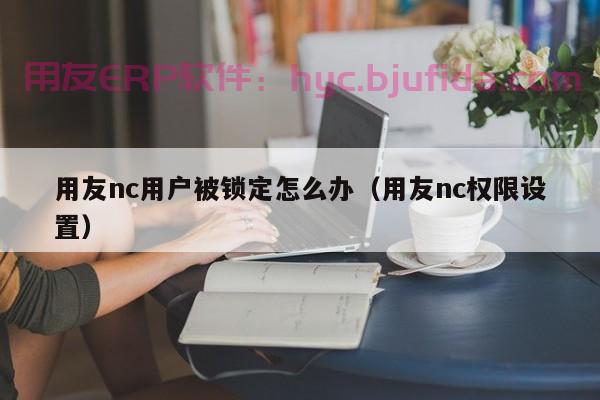 ERP系统截图新姿势，拯救你的忙碌工作！