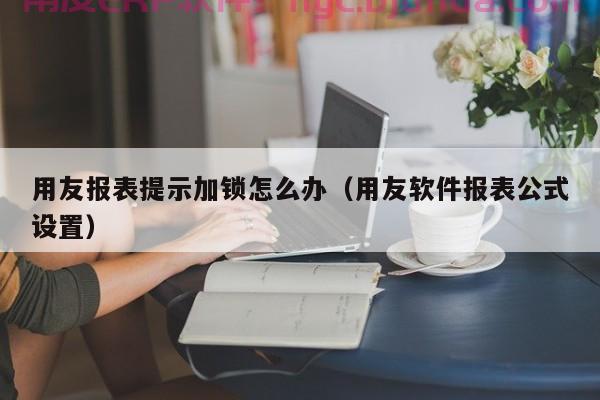 蒙牛ERP项目实施目标揭秘：如何提升企业运营效率