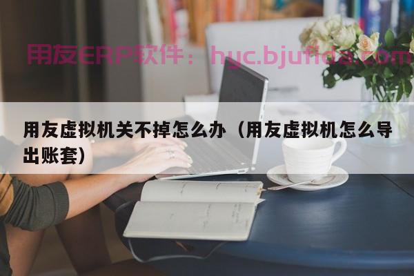 SAP ERP软件的采购管理，优化供应链效能