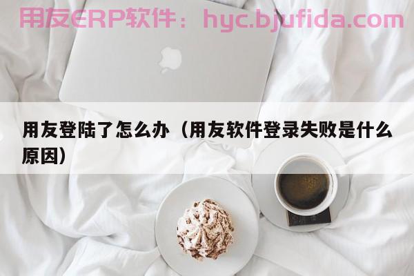 erp实施常见问题怎么处理