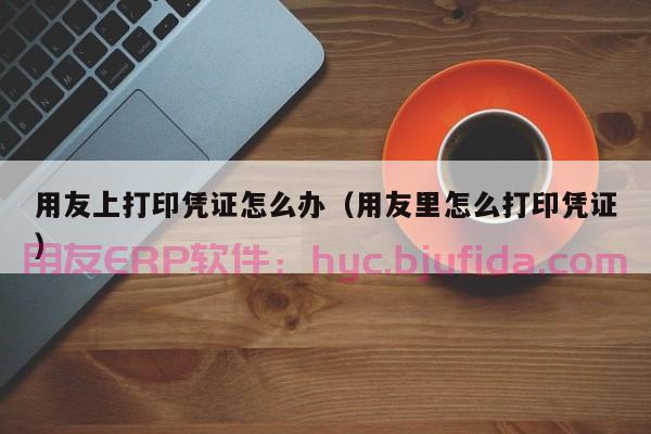 ubi智能包裹对接erp 优化包裹仓储管理