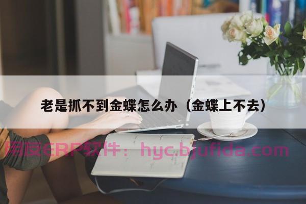 梦想成真！Excel居然能变身成适合企业的全功能ERP系统