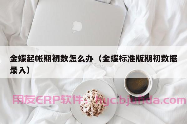 ERP前期发票处理中的风控机制大揭秘，避免公司损失