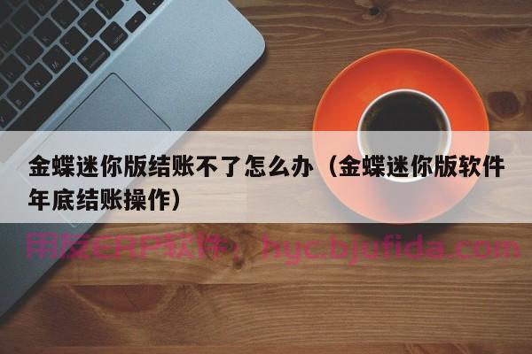 ERP实验CEO心得 创业者必读的实用建议