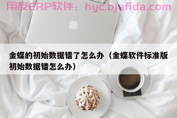 网管精英，如何成为erp领域的行业翘楚？