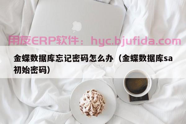 10个有效方法，助你提高erp进销存账务管理效率