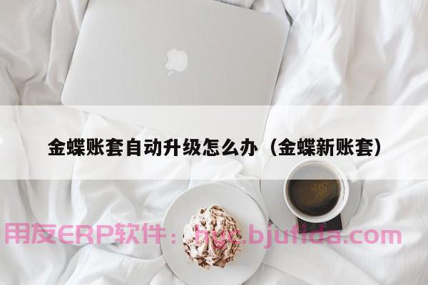 华夏恒泰电子erp 全新上市 助力企业高效数字化管理