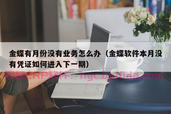 ERP项目立项步骤计划 ERP系统实施后维护和升级策略