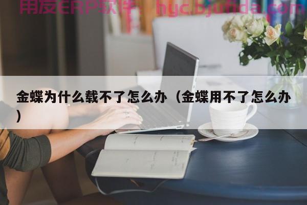 解密制造业ERP系统：实惠选择，高效运营