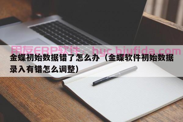 ASINKING ERP网页版升级指南，打造智能企业管理新时代