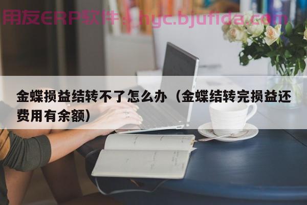 ERP商品入口 详解入门流程及操作要点 最新解析