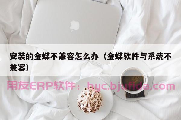 你关心的我国erp未来发展趋势，专家详细解析