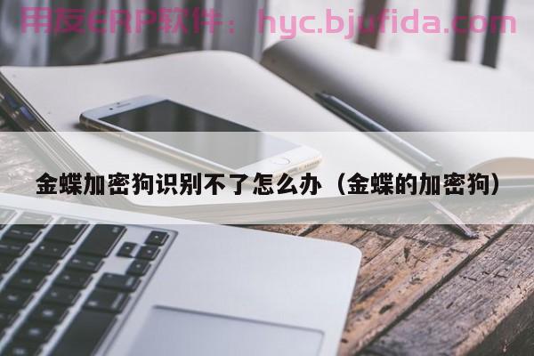 高效便捷的64导便携式ERP系统，解放企业生产力