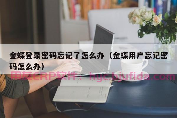 连云港企业ERP 畅捷通助力企业实现数字化转型