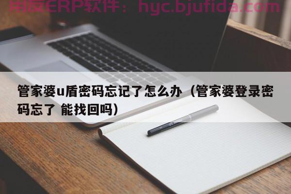 百度云分发ERP单机版，让企业管理更高效！