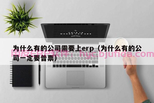 延吉ERP软件试用版：智能化采购，优化供应链管理