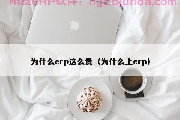 探究ERP数字管理专业就业前景：高薪职位与就业方向详解