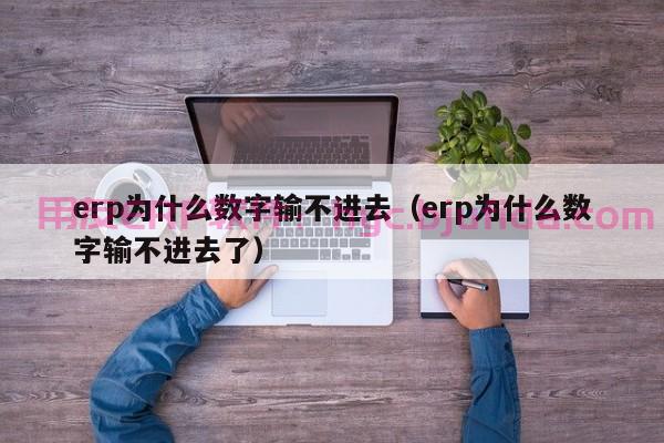 如何识别erp手工沙盘的缺陷