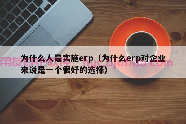 肇庆玩具ERP软件定制哪家实力雄厚