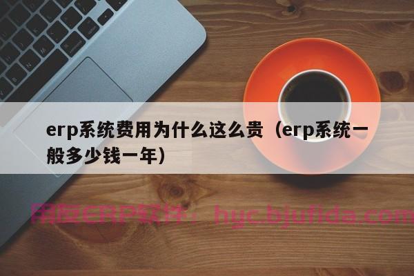 类似excel的erp系统优势解析：让数据管理更简单