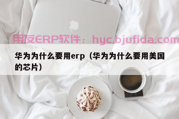 11种新思路提升ERP操作效能