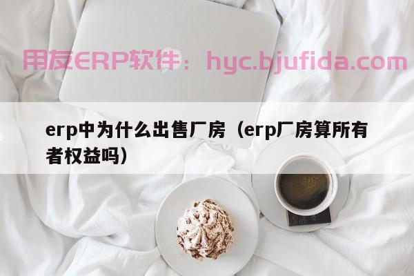 企业erp管理办法 企业erp管理办法操作指南