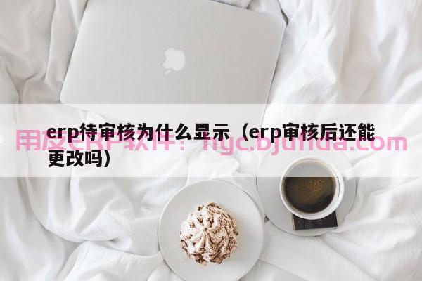 企业上ERP累成狗？这些实用技巧让你事半功倍！