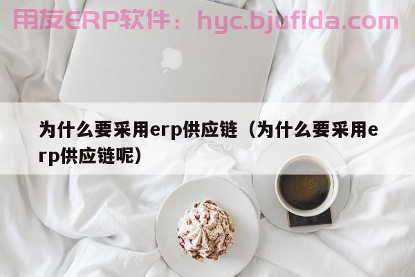 跨境erp系统大全：高效管理采购流程和供应链协同优化