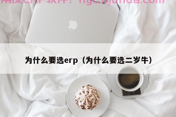 温州模具erp设计 惠及模具企业的领先解决方案！