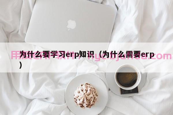 易成erp功能介绍，易成erp功能介绍操作指南