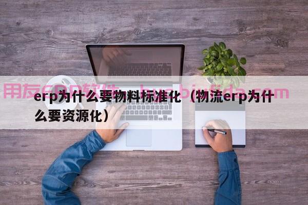 扬州面粉erp管理系统 高度定制化，满足企业多元需求