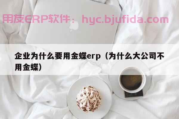 www.erp.abie：高可扩展性的系统，支持企业快速扩张